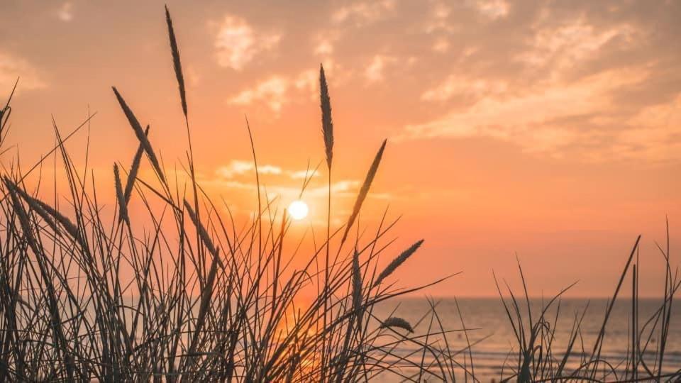 Duinendaele 232 Met Sauna Bij Plopsaland En Natuurreservaat De Panne Kültér fotó